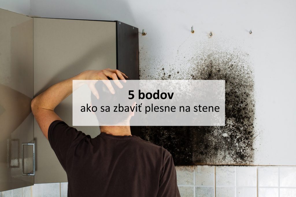 5 bodov ako sa zbaviť plesne