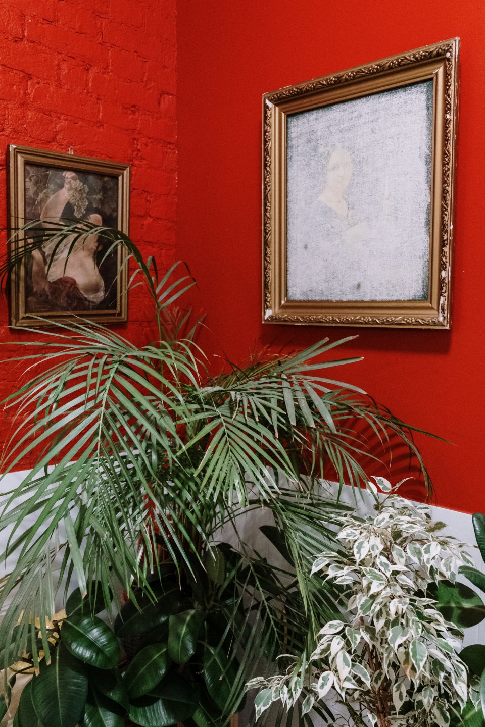 Červené steny v miestnosti s obrazmi a kvetom