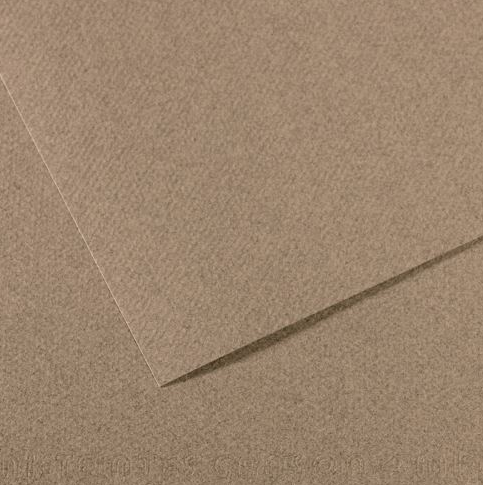 CANSON MI-TEINTES - Buničinou farbený papier (431 - steel grey, 50 ks)
